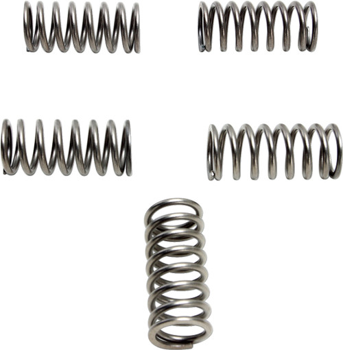 EBC Clutch Spring Kit