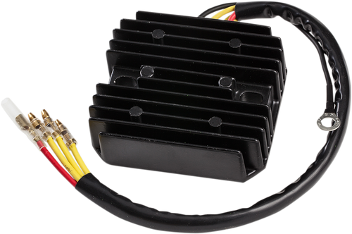 Rick'S Motorsport Electric Regulator Lith-Ion14-221H