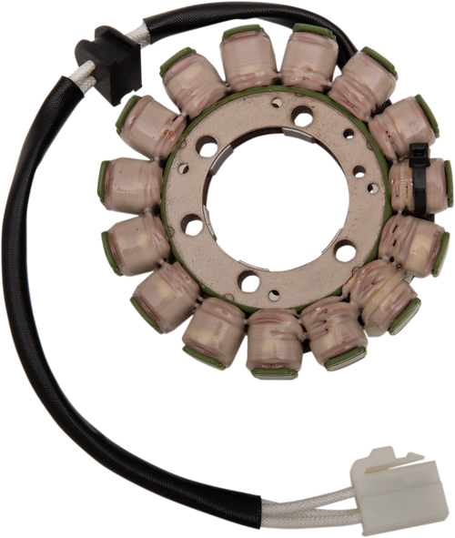 Rick'S Motorsport Electric Stator Suzuki 21-338