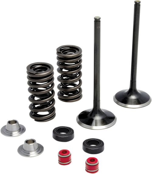 Spring Kit - Stainless Steel