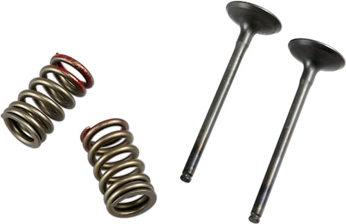 Prox Exhaust Valve/Spring Kit 9261457