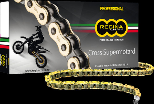 Regina 520 RH2 Series Chain Drive Chain 130 Links