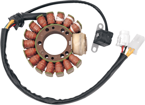 Rick'S Motorsport Electric Stator Yamaha 21120202