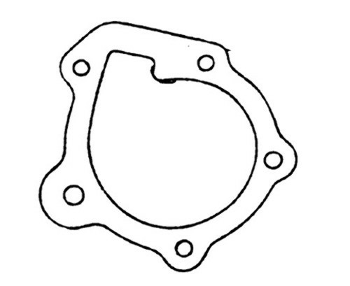 Vertex Polaris Water Pump Gasket 717122