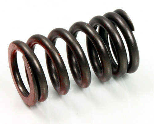 Psychic Products  Psychic Exhaust Valve Spring XU-09502ES
