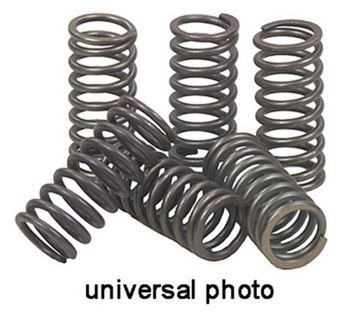 EBC Clutch Springs CSK102