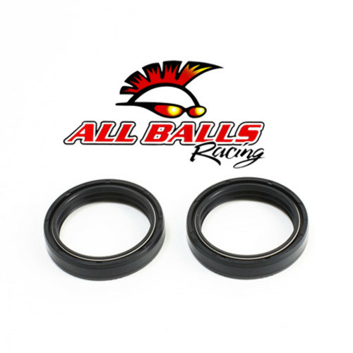 All Balls Racing Fork Seal Kit 55-125