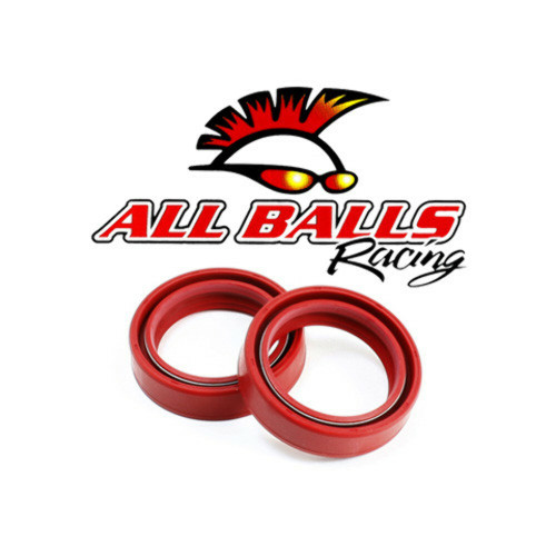 All Balls Racing Fork Seal Kit 55-106