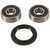 Pivot Works-Front Wheel Bearing Kit Suzuki PWFWK-S34-000