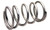 EPI Clutch Spring Silver ACD5