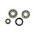 All Balls Racing Allballs Crank Bearing And Seal Kit 24-1013