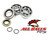 All Balls Racing Crank Bearing And Seal Kit 24-1103
