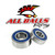 All Balls Racing Wheel Bearing Kit 25-1528