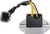 Wildboar Regulator ASD6010