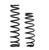 EPI Suspension Spring Can-Am WE325104