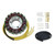 Electrosport Stator 3-Phase - Suzuki ESG020