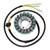 Electrosport Stator Suzuki ESG014