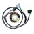 Electrosport Stator Honda Trx450Er (06-12) - Development ESG301