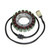 Electrosport Stator Kawasaki-A2/Ksv700B1-B2 (04-On) ESG716