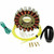 Rick's Electric New Hot Shot Style Honda Stator 21-639H