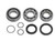 Sport-Parts Inc. Spi Chain Case Bearing Kit Sm-03205