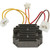 Wildboar Regulator - New 230-22154