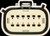 Saddle Tramp Radio Jumpr 19+ W/Gts
