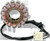 Rick'S Motorsport Electric Stator Kawasaki