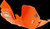 T.M. Designwork Full Coverage Skid Plate  Orange Gas Gas 2024' EC 250/300