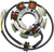 Rick'S Motorsport Electric Stator Honda Hs