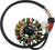 Rick'S Motorsport Electric Stator Oe Style 21-825