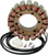 Rick'S Motorsport Electric Stator Suzuki 21-324