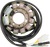 Rick'S Motorsport Electric Stator Honda Rebel