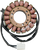 Rick'S Motorsport Electric Stator Ducati 21-025