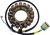 Rick'S Motorsport Electric Stator Oe Style 21-649