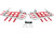 DG Performance Alloy Nerf Bars- TRX250EX - Natural/Red