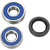 All Balls Wheel Bearing Kit 25-1261