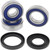 All Balls Bearing Kit, Whl 25-1390