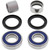 All Balls Bearing Kit, Whl 25-1476