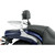 Cobra Sissy Bar Mini Warrior