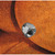 Colony Ac Spkt Nut Chr 55-06Bt