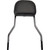 Backrest Shrt Flhc/S
