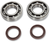 Crank Bearings With Seal - Husqvarna/KTM -  9240399