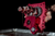 High Flow Camplate - Hydraulic Tensioner Conversion - Chain Drive - Twin Cam