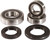 Wheel Bearing Kit - Rear 2150949