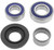 All Balls Racing Driveshaft Bearing Seal Kit 14-1025
