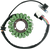 Rick'S Motorsport Electric Stator Yamaha 21120201