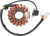 Rick'S Motorsport Electric Stator Yamaha 21120202