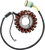 Rick'S Motorsport Electric Stator Honda 21121674