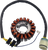 Rick'S Motorsport Electric Stator Honda 21121674
